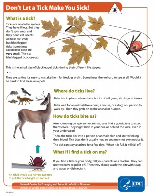 Lyme Desease Crossword